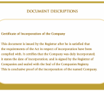 Certificate of Incorporation of the Company